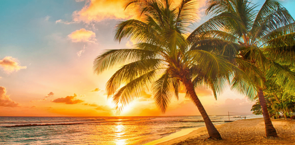 Comparing UK Beaches with Tropical Caribbean Holiday Destinations