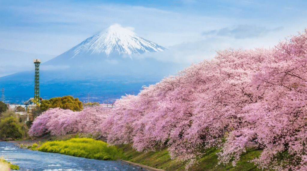 How to Plan a Dream Holiday to Japan from the UK?