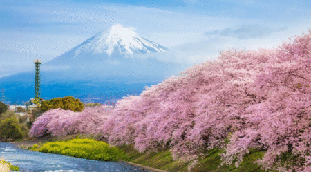 How to Plan a Dream Holiday to Japan from the UK?